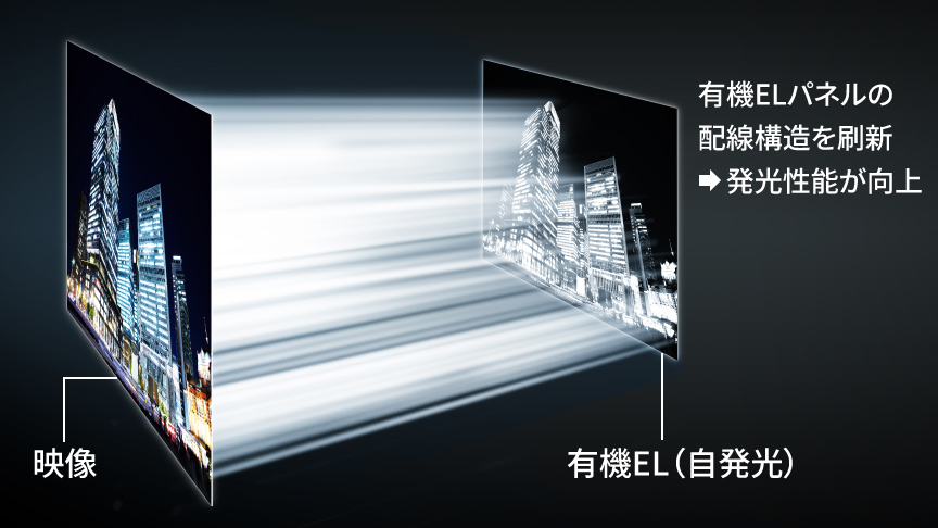 有機ELパネル構造（65V/55V型）