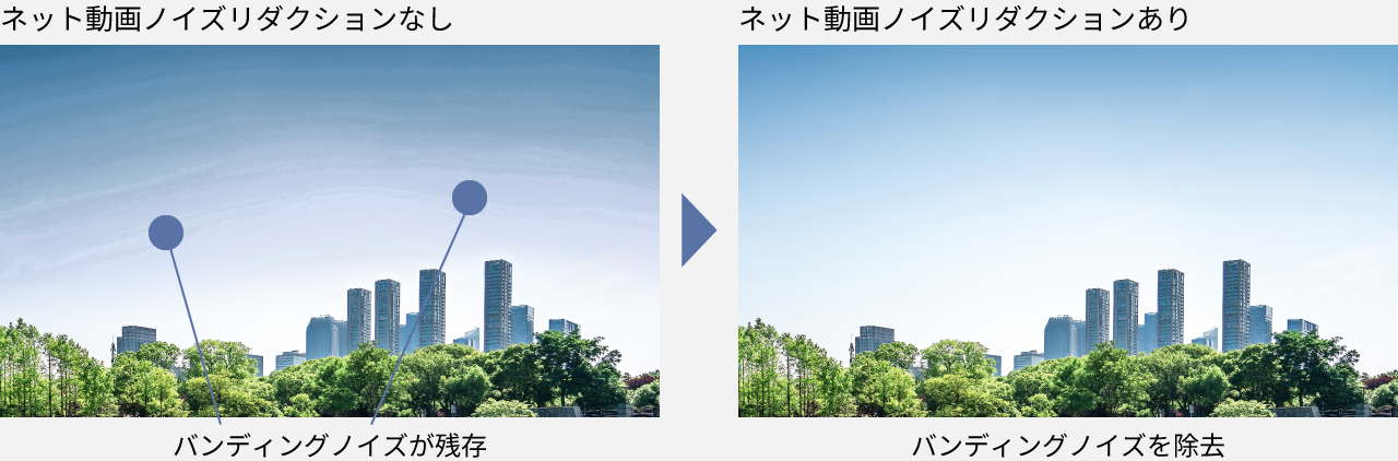 ネット動画ノイズリダクションの有無の比較