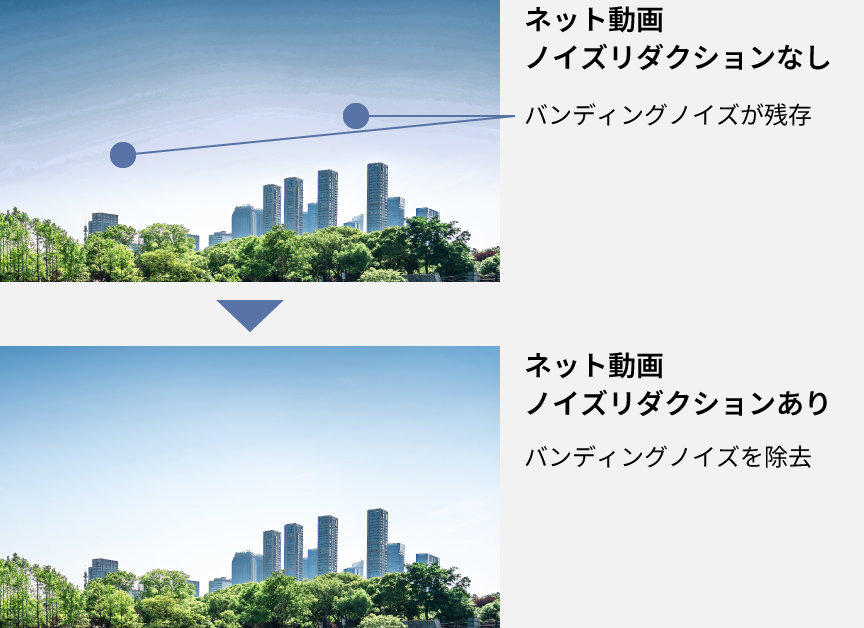 ネット動画ノイズリダクションの有無の比較