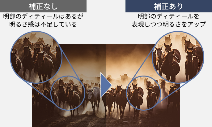 微細ブロック階調補正の有無の比較