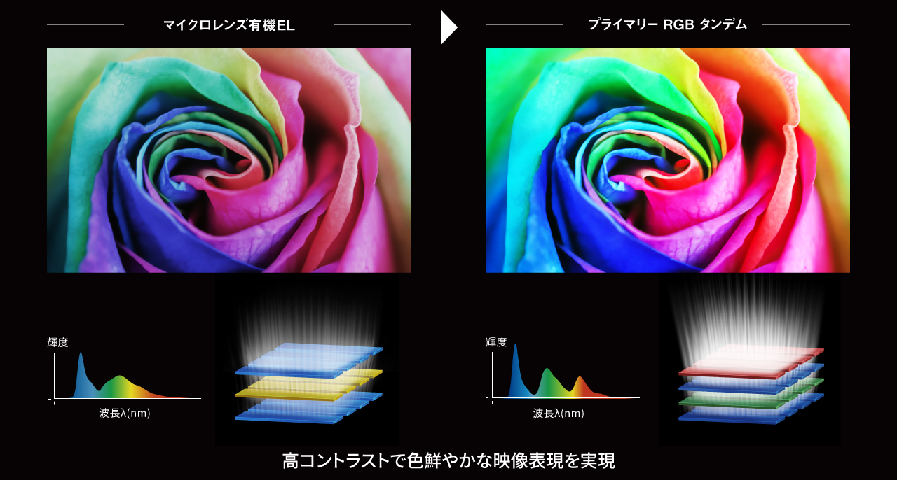 マイクロレンズ有機ELとRGB Tandemの比較