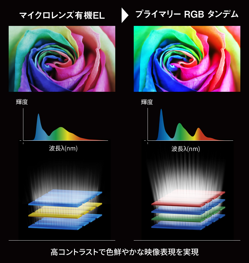 マイクロレンズ有機EL（Z95A）とプライマリーRGBタンデム（Z95B）の比較