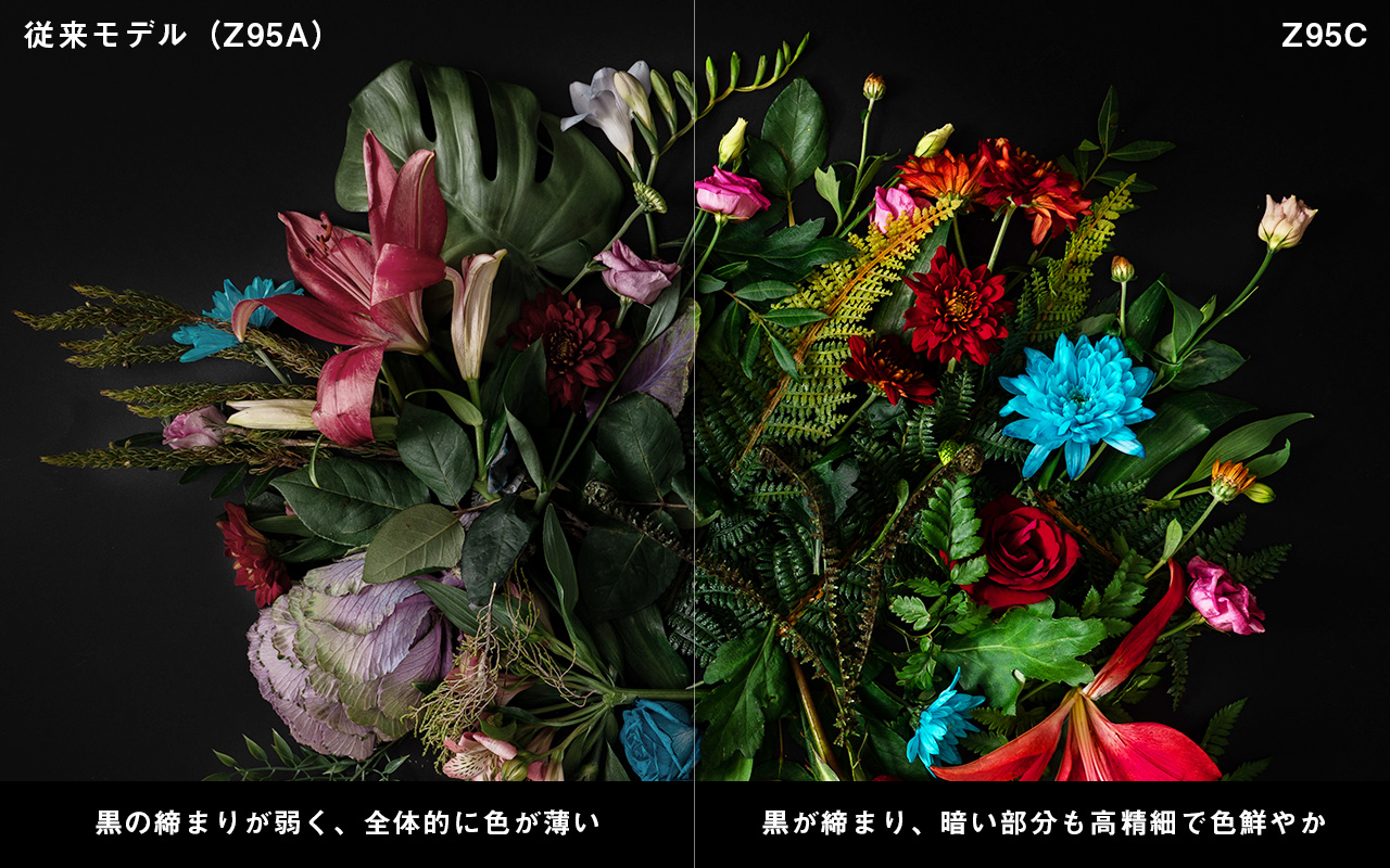 従来モデル（Z95A）：黒の締まりが弱く、全体的に色が薄い　Z95C：黒が締まり、暗い部分が高精細で色が鮮やか