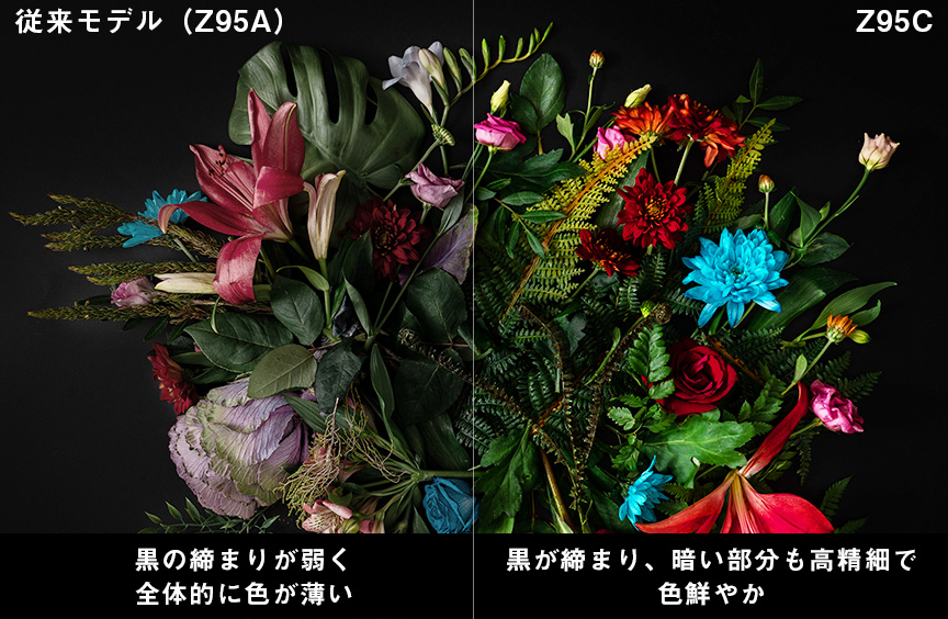 従来モデル（Z95A）：黒の締まりが弱く、全体的に色が薄い　Z95C：黒が締まり、暗い部分が高精細で色が鮮やか