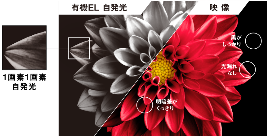 有機ELは1画素ずつ自発光