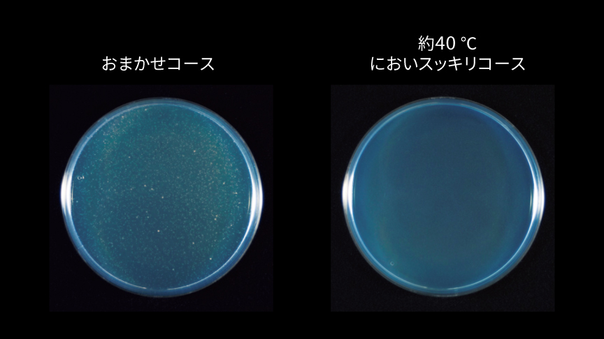 洗濯直後のニオイの原因菌の様子