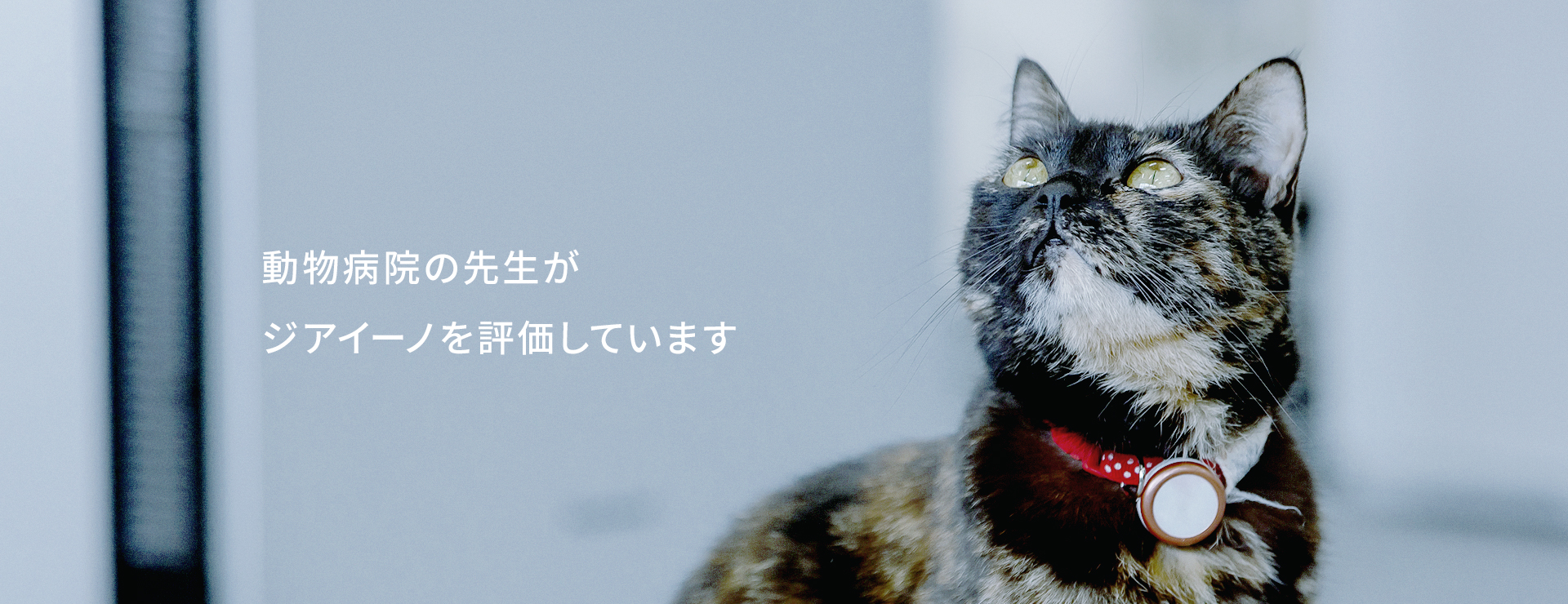 動物病院の先生がジアイーノを評価しています