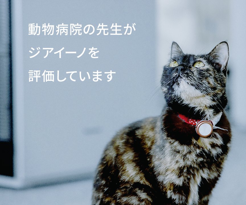 動物病院の先生がジアイーノを評価していることを伝える猫の画像です。