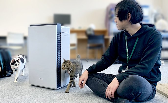 「ジアイーノ」と猫、教授の写真です。