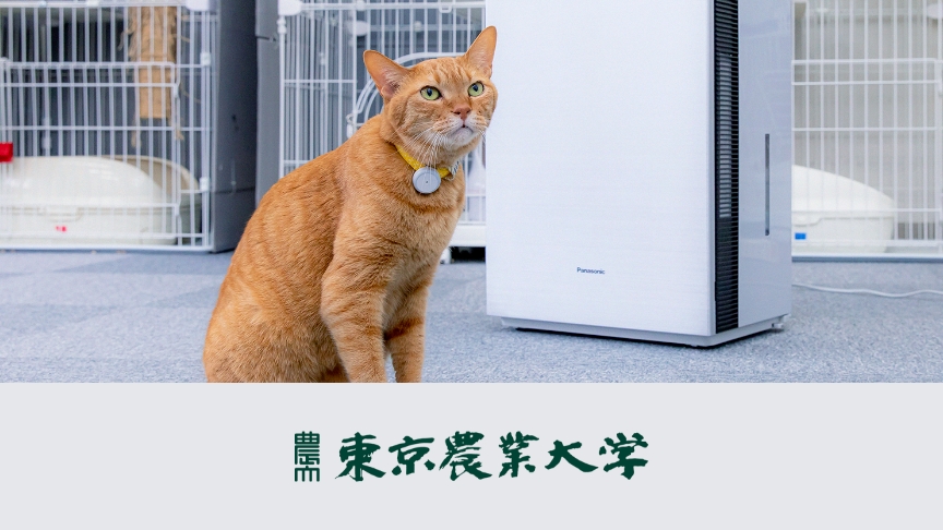 ジアイーノ 共同検証 東京農業大学編の画像です