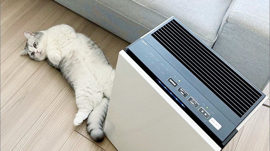 ご愛用者の声 ～愛猫家編～の画像です