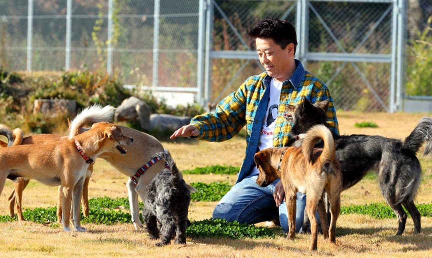 坂上忍さんが5匹の犬と遊んでいるようすです。