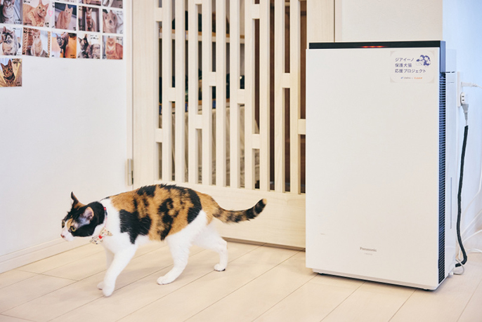 「CAIT SITH」での使用シーンです。