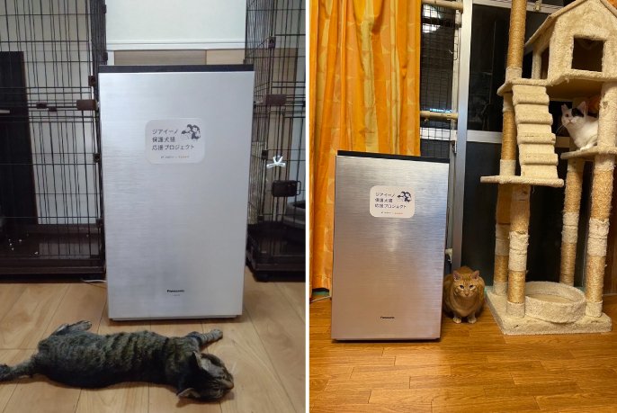 猫の森の使用シーンです