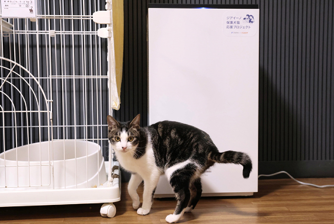 「てんしんらんまんな★ラッキー」での使用シーンです。