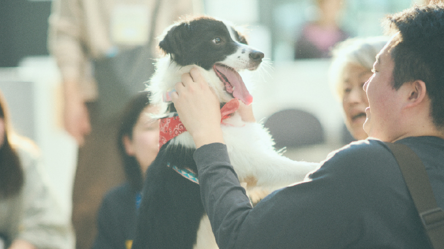 パナソニック保護犬猫譲渡会にて、保護犬と来場者が触れ合っている様子です。