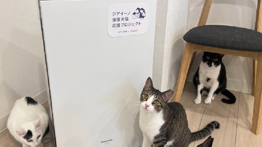 動物保護団体にジアイーノを寄贈した様子です。