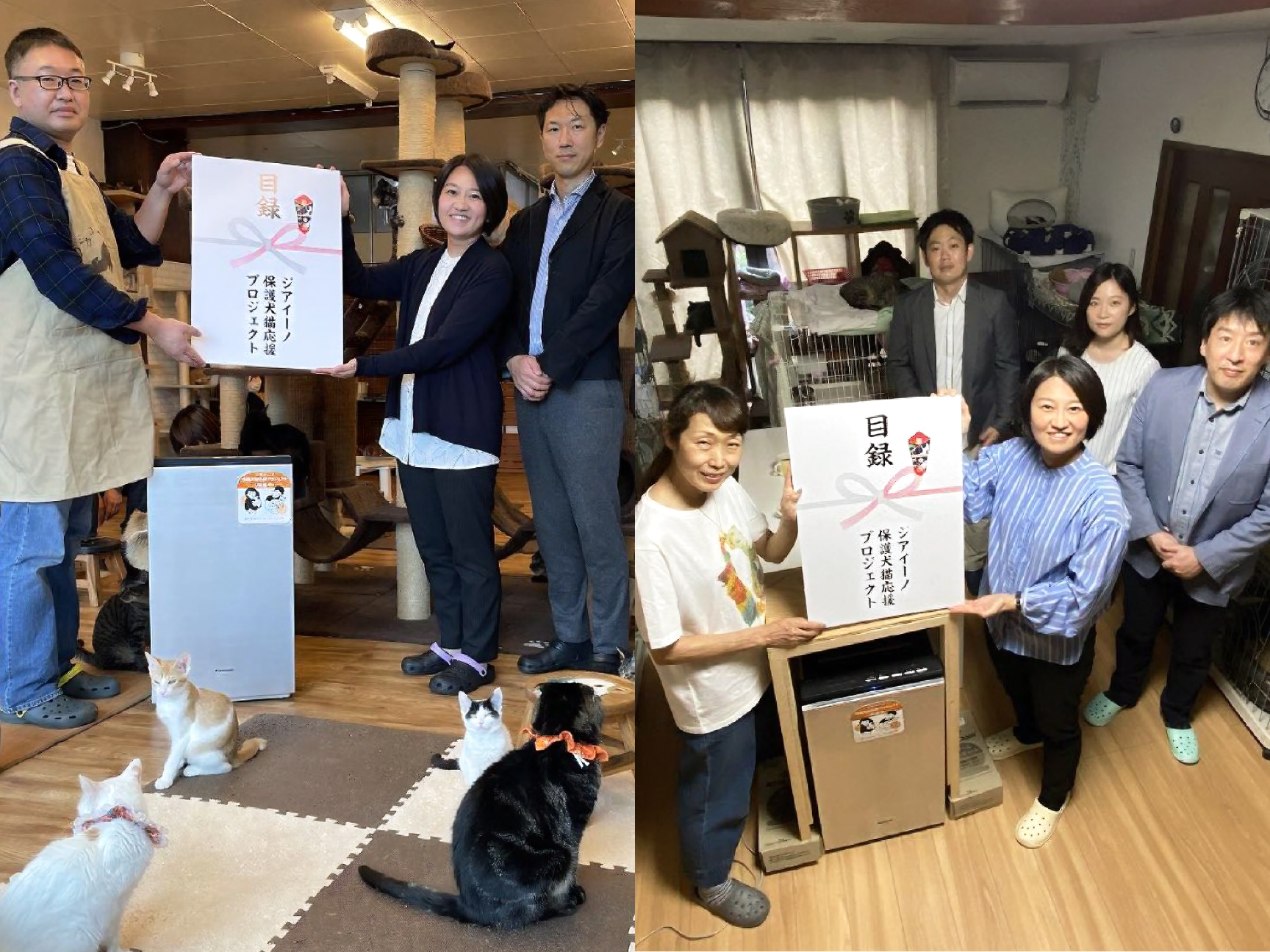保護犬猫プロジェクトでの寄付の様子です。左：保護猫カフェ「ねこかつ」、右：一般社団法人「おーあみ避難所」
