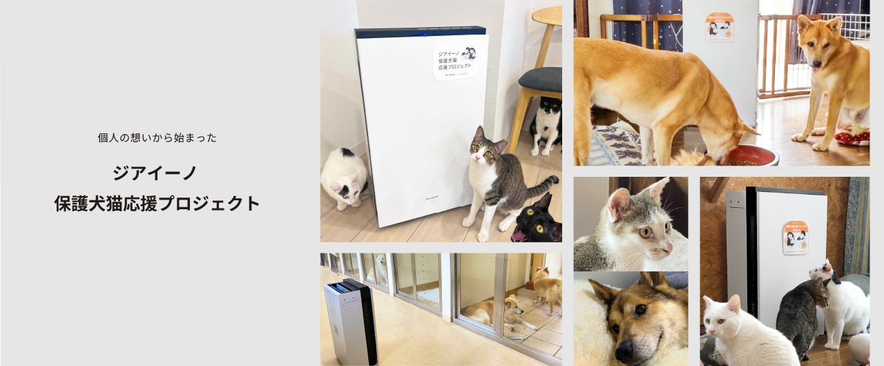 保護犬猫応援プロジェクトストーリーのメインビジュアルです