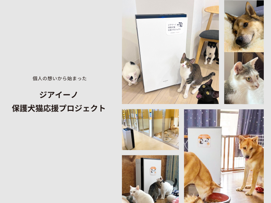 保護犬猫応援プロジェクトストーリーのメインビジュアルです