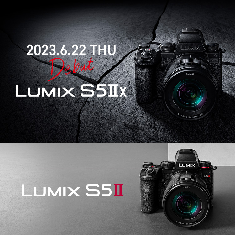 カメラ デジタルカメラ LUMIX（ルミックス） ミラーレス一眼カメラ・デジタルカメラ | Panasonic