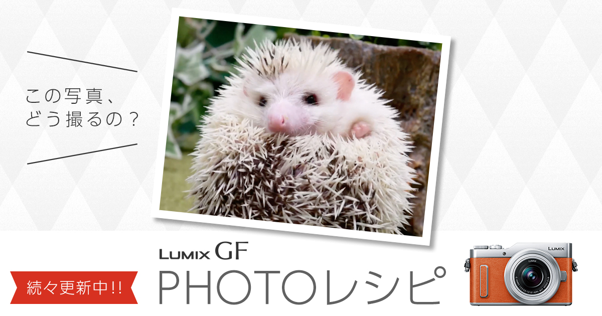 てくてくハリちゃん Photoレシピ デジタルカメラ Lumix ルミックス Panasonic