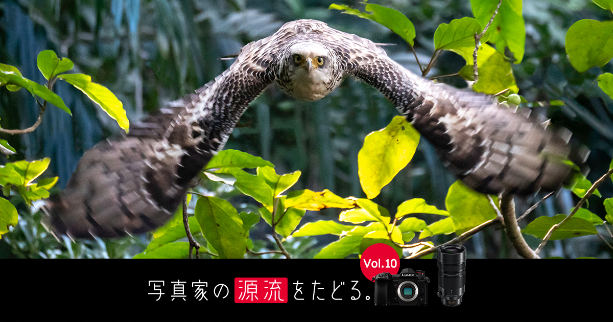 Vol 10 田中 雅美 写真家の源流をたどる デジタルカメラ Lumix ルミックス Panasonic