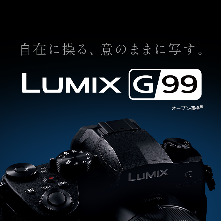 新作 人気 Panasonic LUMIX DC-G99専用 液晶保護フィルム 高硬度フィルム 透明 spoiler2.sakura.ne.jp