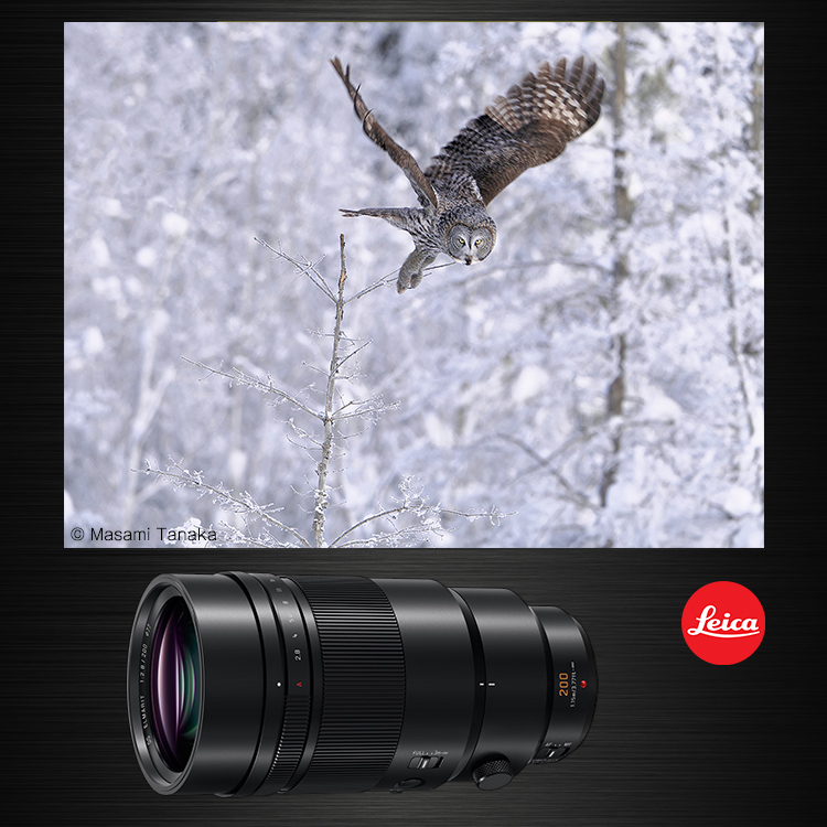 LEICA DG ELMARIT 200mm | Gシリーズ 交換レンズ | 商品一覧 | LUMIX 