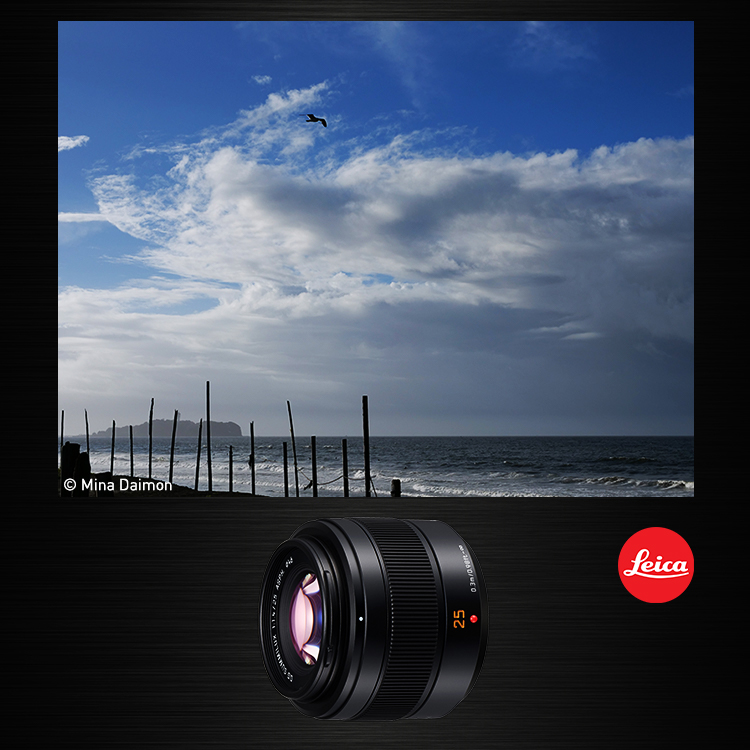 LEICA DG SUMMILUX 25mm | Gシリーズ 交換レンズ | 商品一覧 | LUMIX ...