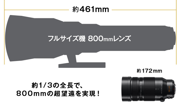 LEICA DG VARIO-ELMAR 100-400mm | Gシリーズ 交換レンズ | 商品一覧 