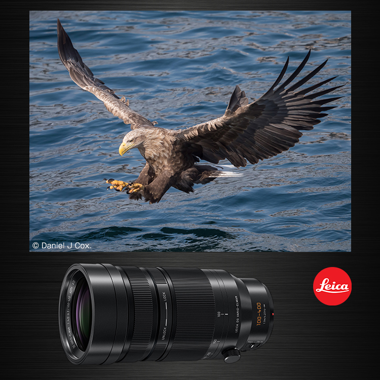 LEICA DG VARIO-ELMAR 100-400mm | Gシリーズ 交換レンズ | 商品一覧