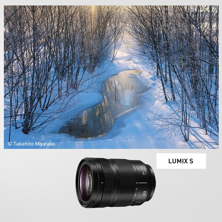 LUMIX S 24-105mm F4 MACRO O.I.S. | Sシリーズ 交換レンズ | 商品一覧 