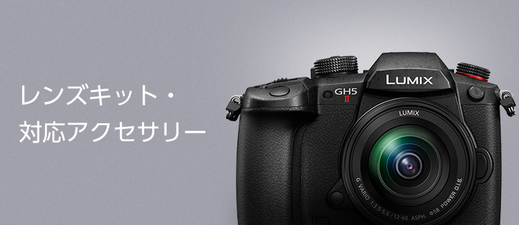 全品最安値に挑戦 パナソニック Panasonic ミラーレス一眼カメラ レンズキット ブラック DC-GH5M2M218 990円