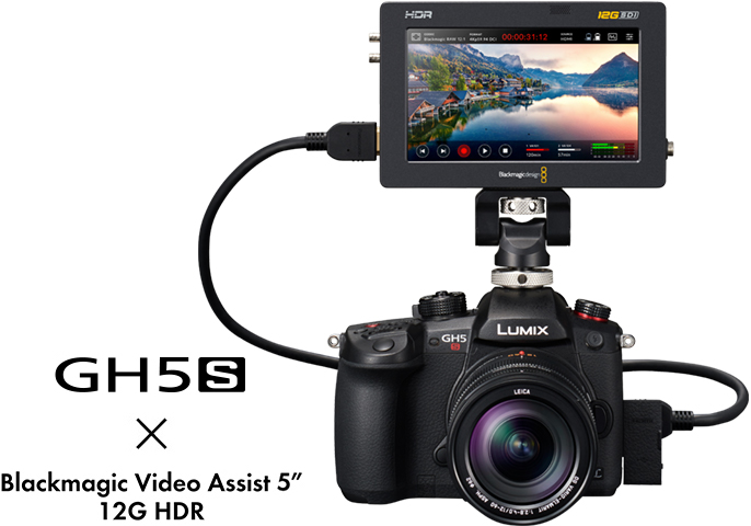 カメラ デジタルカメラ FIRMWARE | DC-GH5S | Gシリーズ 一眼カメラ | 商品一覧 | LUMIX 