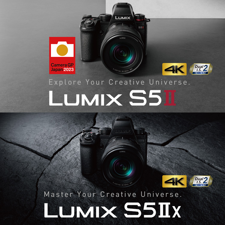 LUMIX 一眼レフ　4K カメラ
