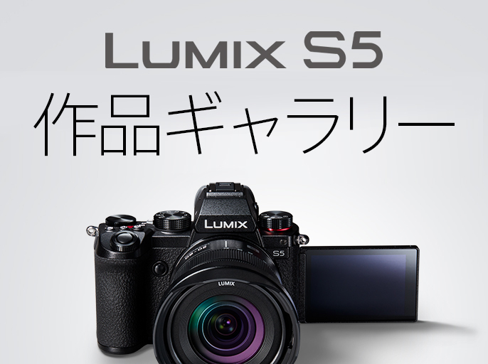 カメラ デジタルカメラ DC-S5 | Sシリーズ フルサイズ一眼カメラ | 商品一覧 | LUMIX 