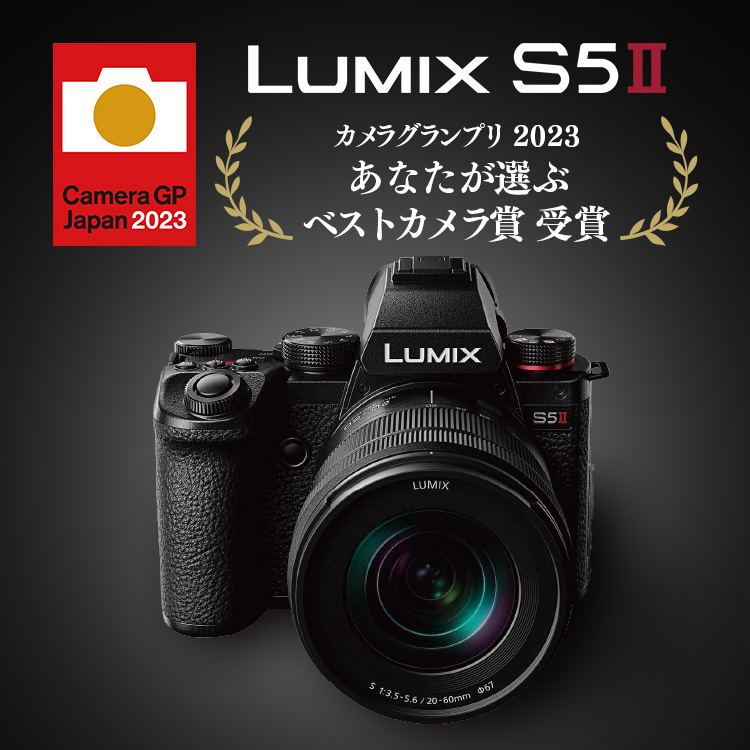 LUMIX（ルミックス） ミラーレス一眼カメラ・デジタルカメラ | Panasonic
