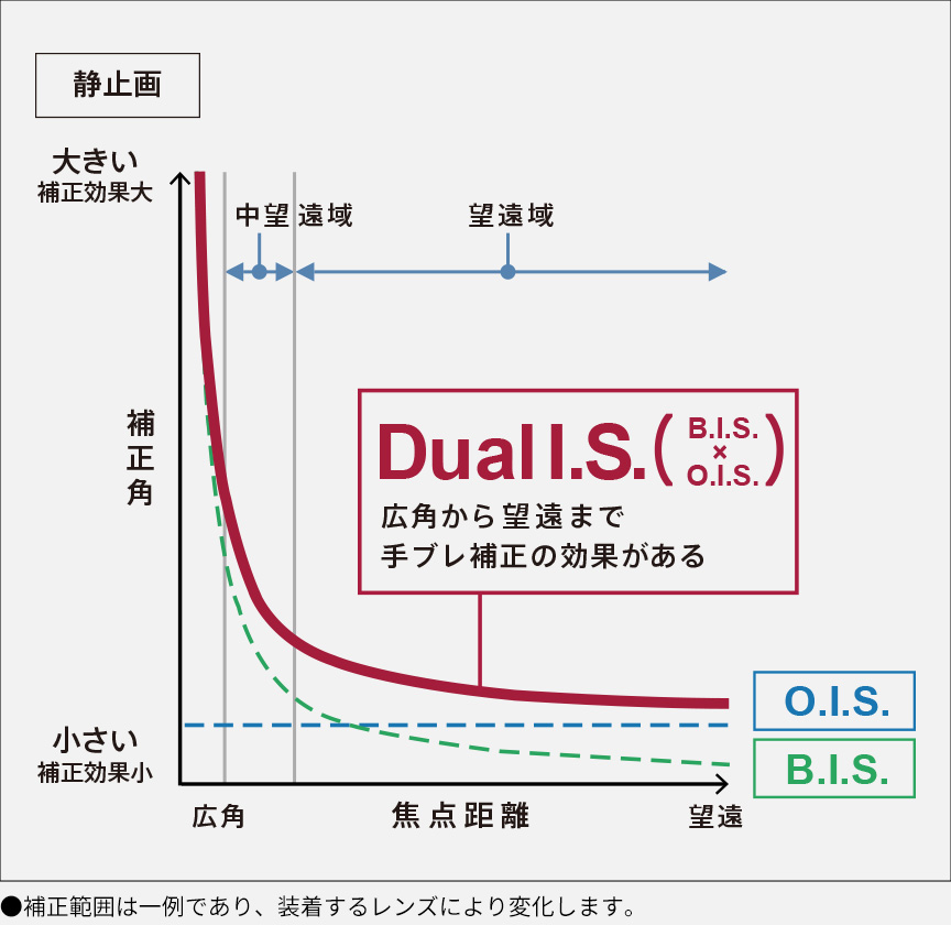 Dual I.S 説明図