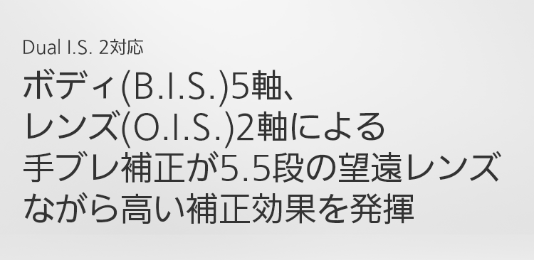 1440円 【お試し価格！】 レンズパナソニックG VARIO 1:3.5-5.6