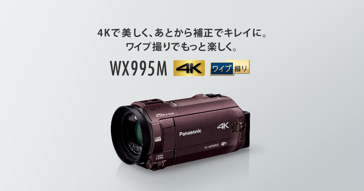 仕様（スペック） | WX1M/WZX1M | 商品一覧 | デジタルビデオカメラ 