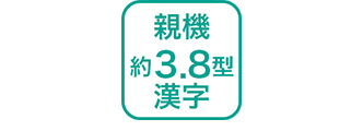 親機 約3.8型 漢字