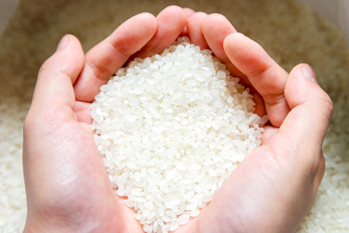 古いお米の炊き方 乾燥が進んだお米でもおいしくする方法 食 レシピ Up Life 毎日を あなたらしく あたらしく Panasonic