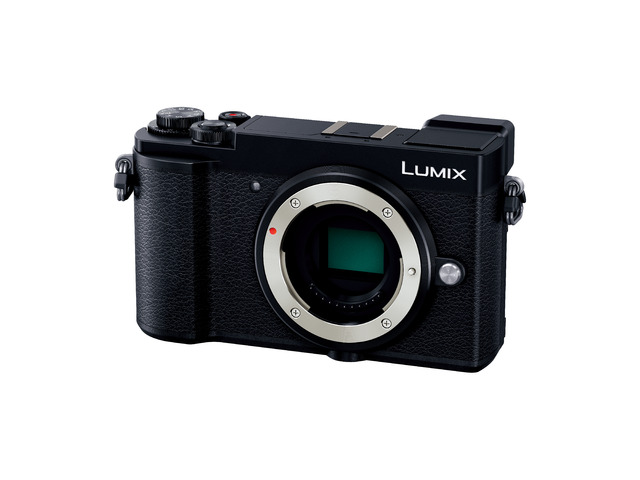 ⚫︎純正バッテリー2個【カメラ】LUMIX DC-GX7MK3