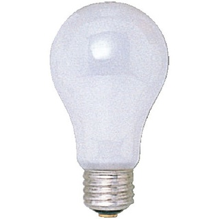 ホワイト電球 LW-100V-19W