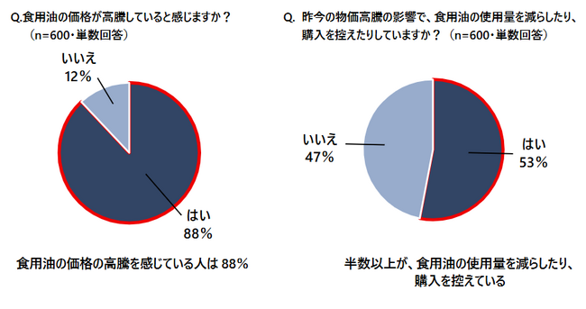 少ない油で揚げ物をおいしく「揚げ焼き」のポイントを紹介