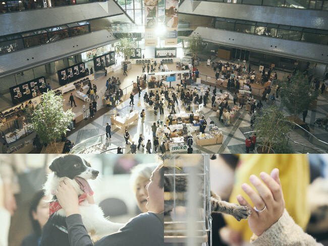 「パナソニック 保護犬猫譲渡会2025」イベント開催レポート（大阪）