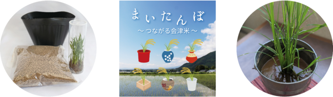 日本の米文化・米消費へのより高い意識醸成を目指す、稲栽培キット「まいたんぼ」の販売を開始