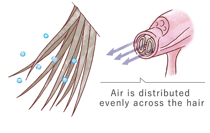 Air is distributed evenly across the hair