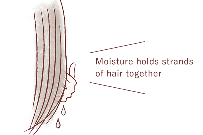 Moisture holds strands of hair together